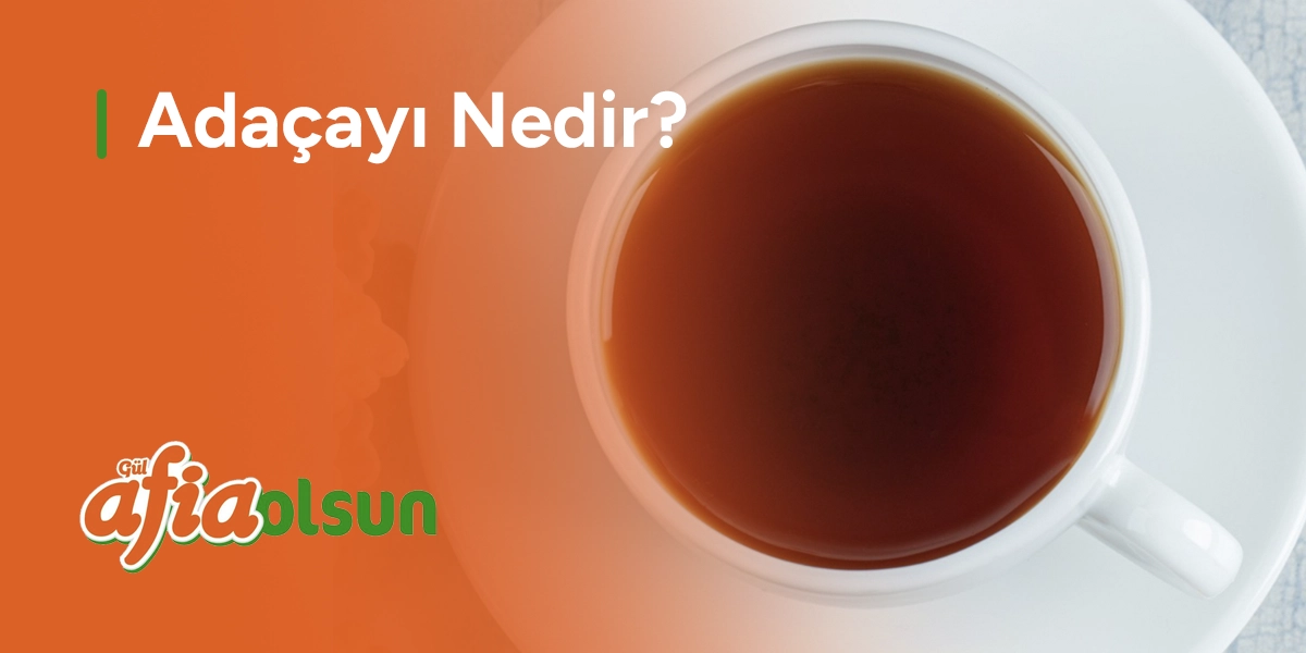 adacayi-nedir