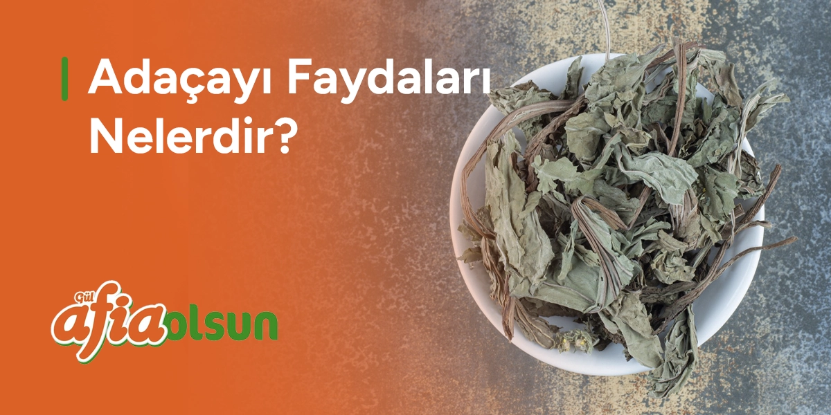 adacayinin-faydalari-nelerdir