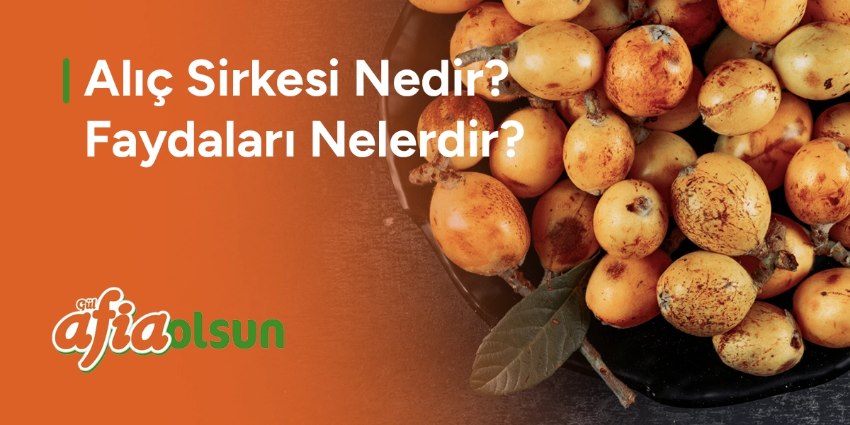 alic-sirkesi-nedir-faydalari-nelerdir