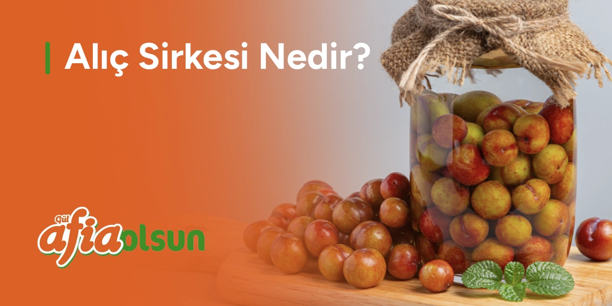 alic-sirkesi-nedir