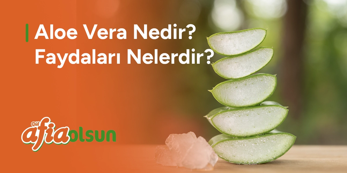 aloe-vera-nedir-faydalari-nelerdir