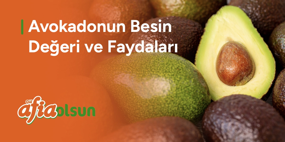 avokadonun-besin-degeri-ve-faydalari