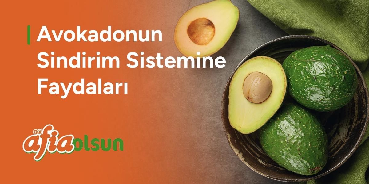 avokadonun-sindirim-sistemine-faydalari