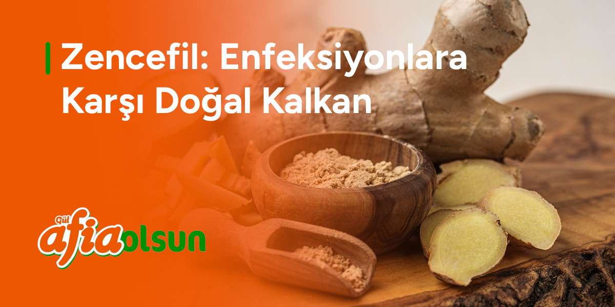 zencefil-enfeksiyonlara-karsi-dogal-kalkan
