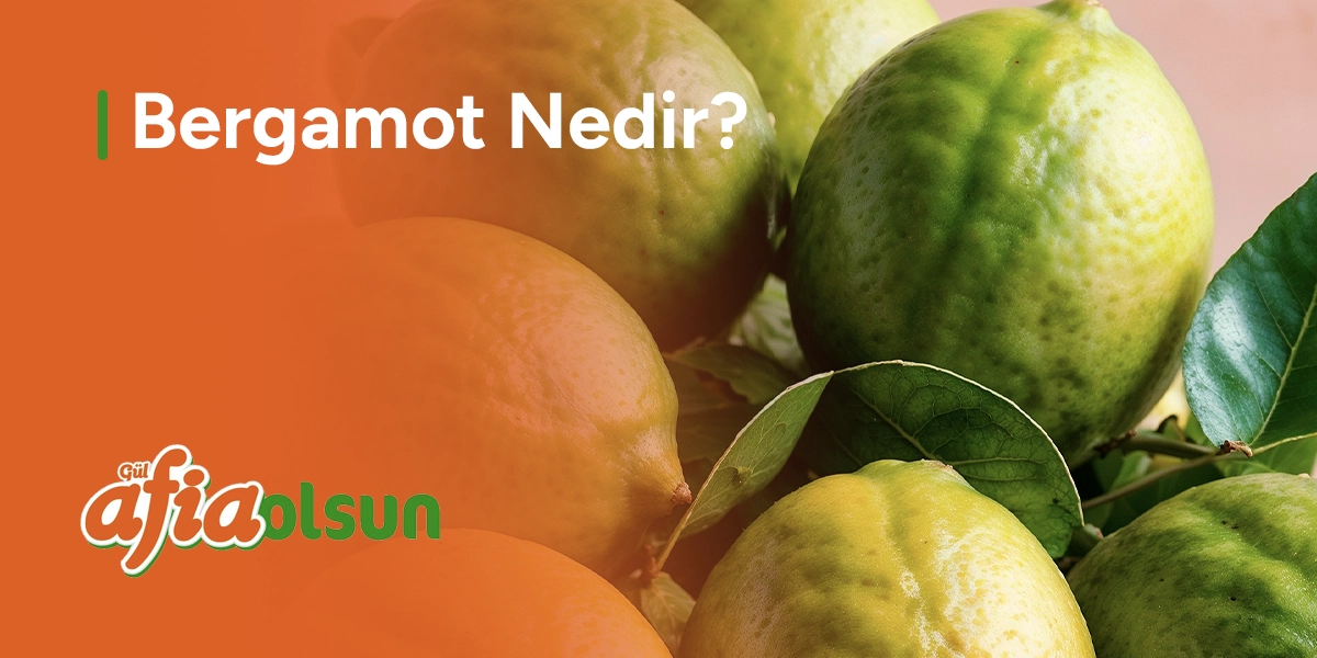 bergamot-nedir