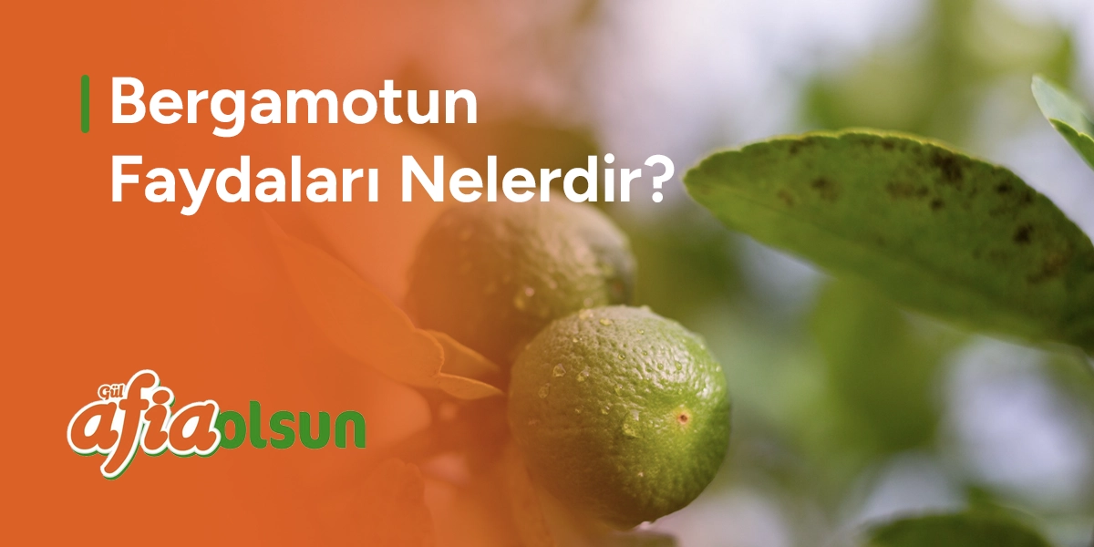 bergamotun-faydalari-nelerdir