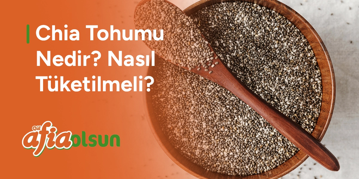 chia-tohumu-nedir-nasil-tuketilmeli