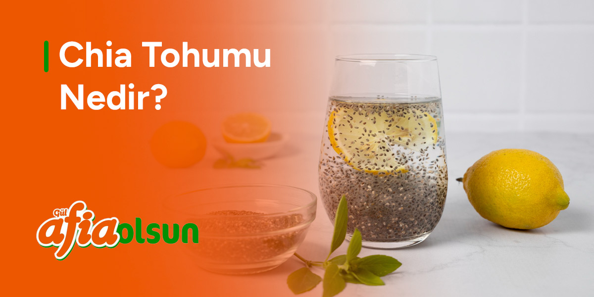 chia-tohumu-nedir