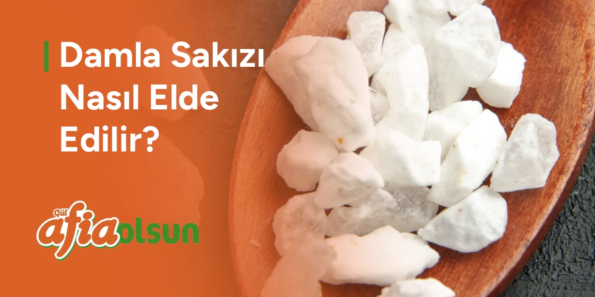 damla-sakizi-nasil-elde-edilir