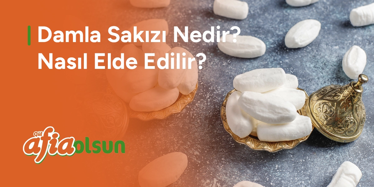 damla-sakizi-nedir-nasil-elde-edilir