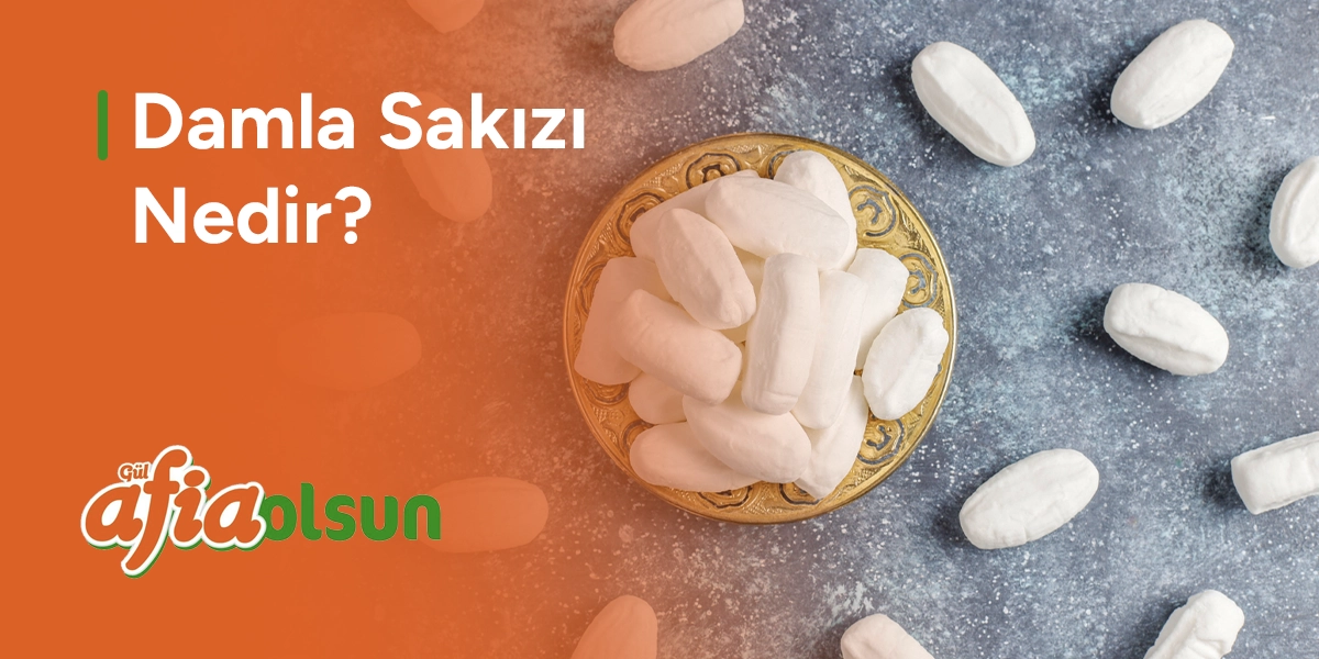 damla-sakizi-nedir