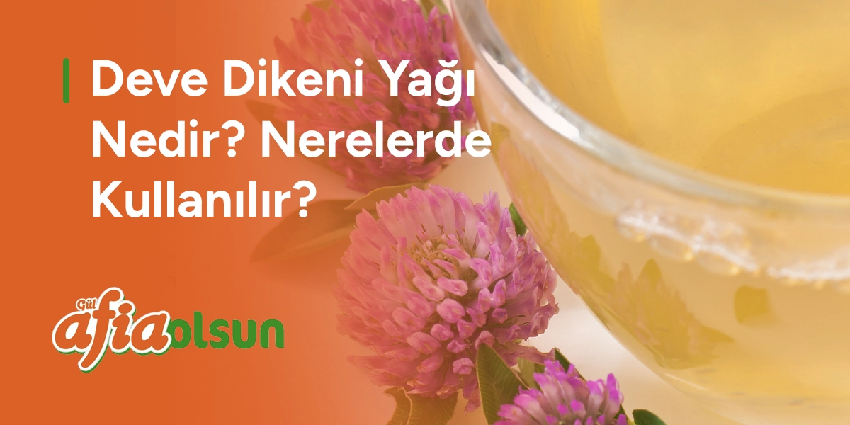 deve-dikeni-yagi-nedir-nerelerde-kullanilir
