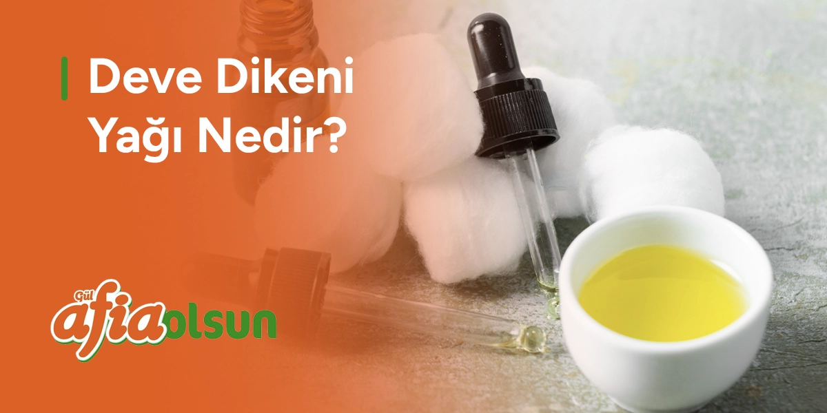 deve-dikeni-yagi-nedir
