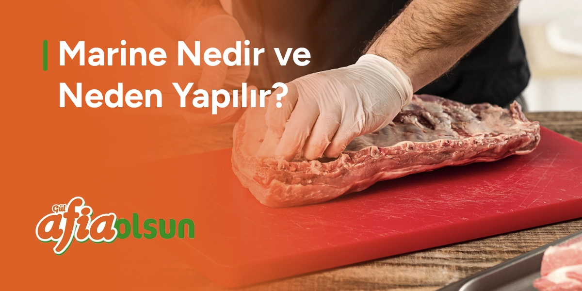 marine-nedir-ve-neden-yapilir