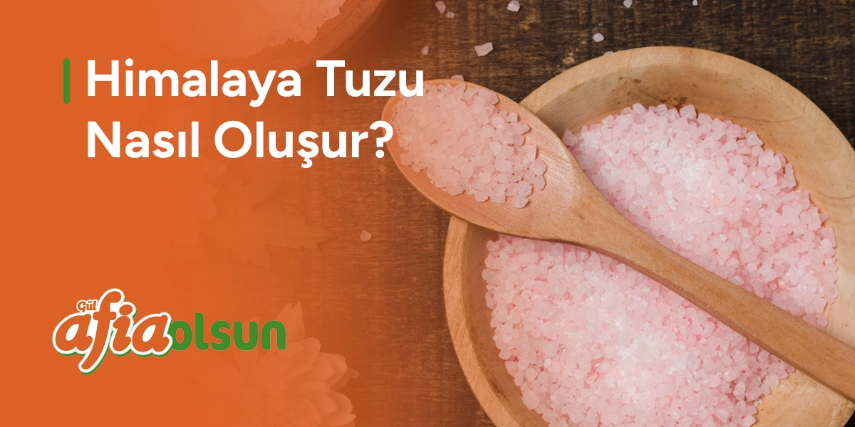 himalaya-tuzu-nasil-olusur