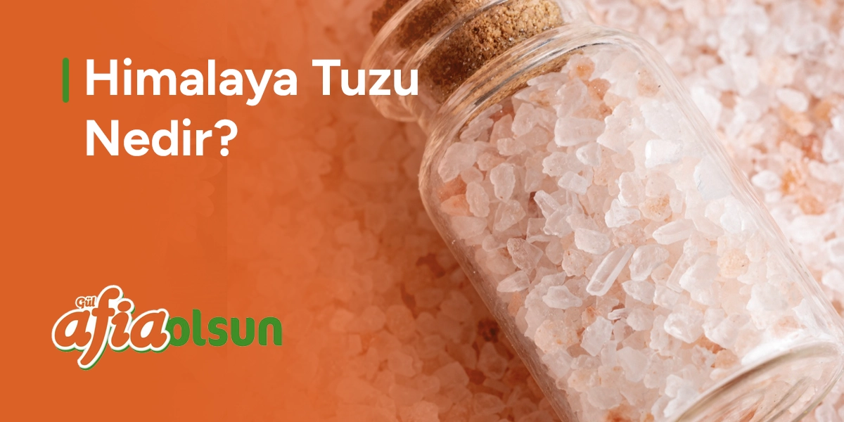 himalaya-tuzu-nedir