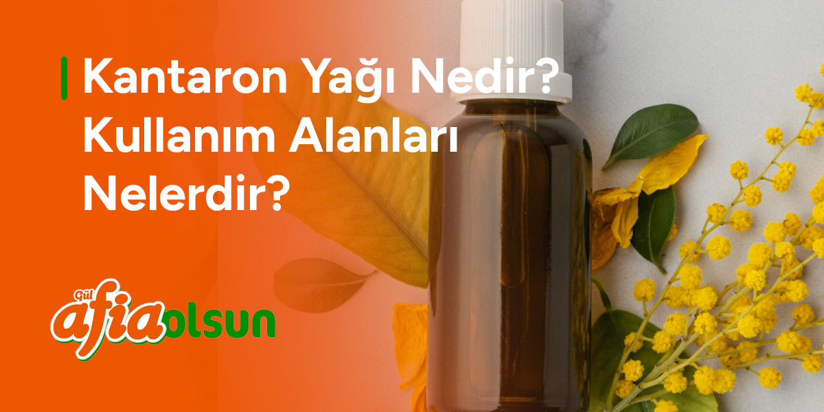 kantaron-yagi-nedir-kullanim-alanlari-nelerdir