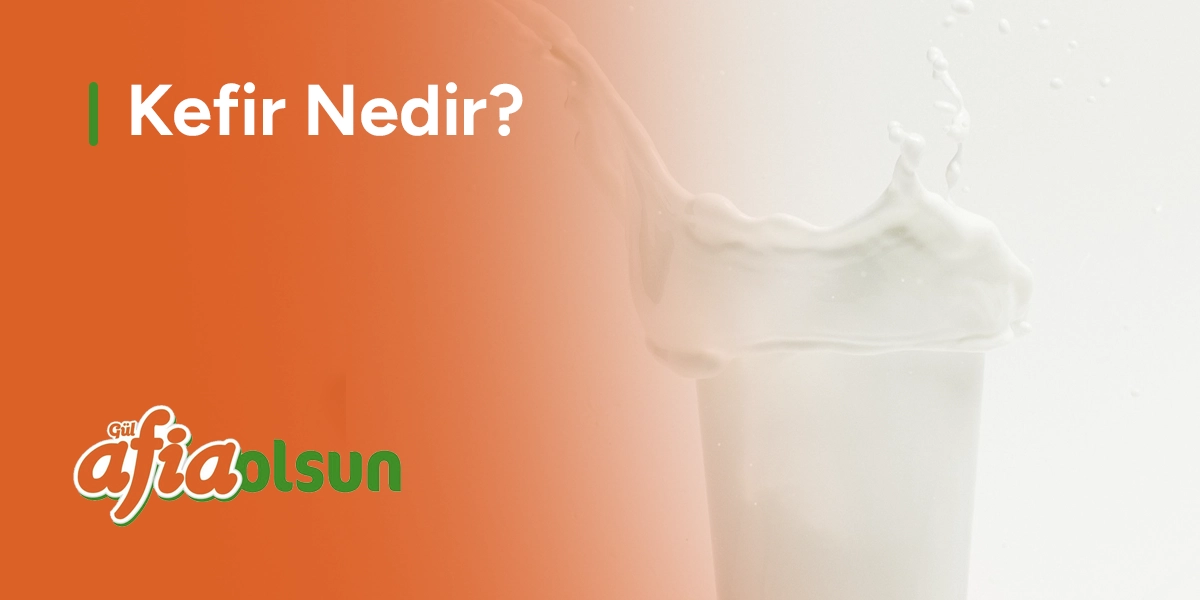 kefir-nedir