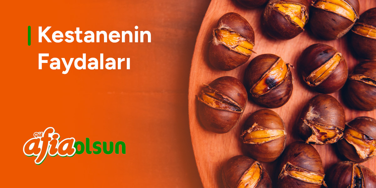 kestanenin-faydalari
