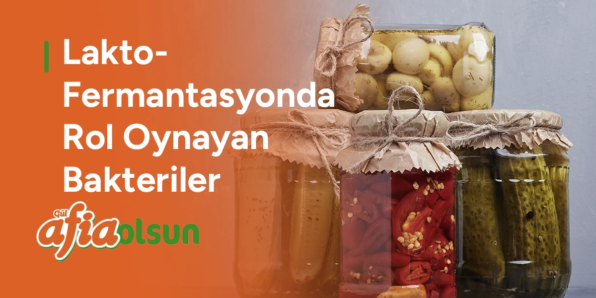 lakto-fermantasyonda-rol-oynayan-bakteriler