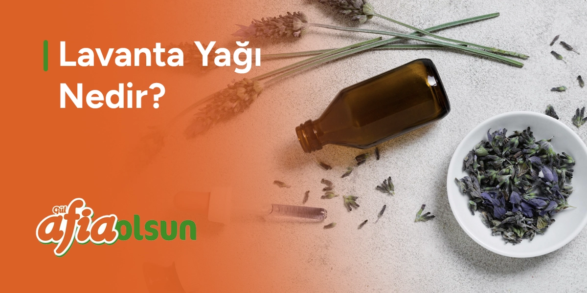 lavanta-yagi-nedir