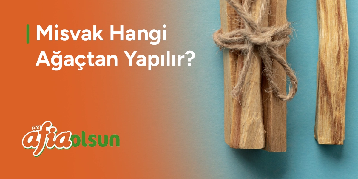 misvak-hangi-agactan-yapilir