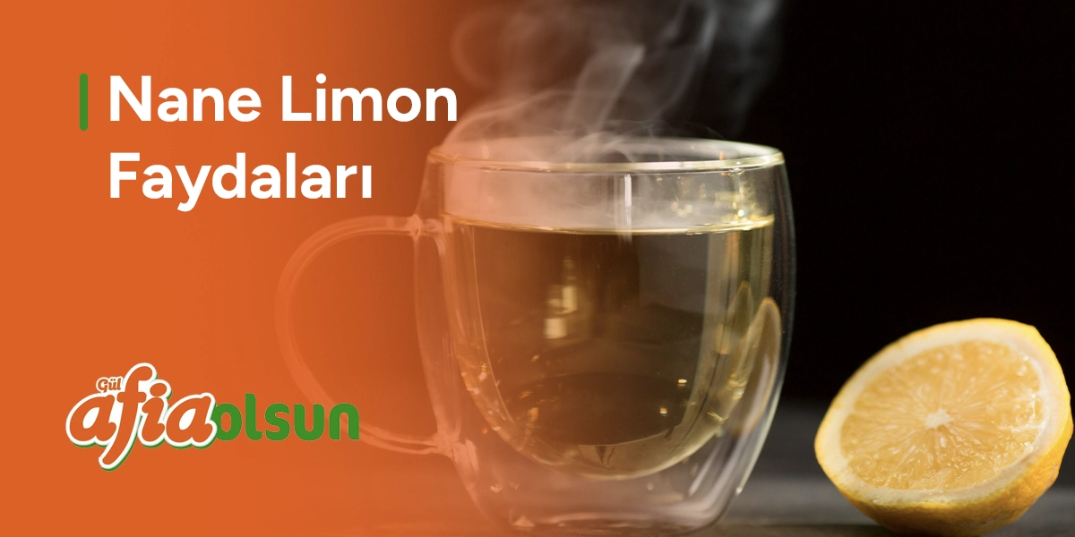 nane-limon-faydalari
