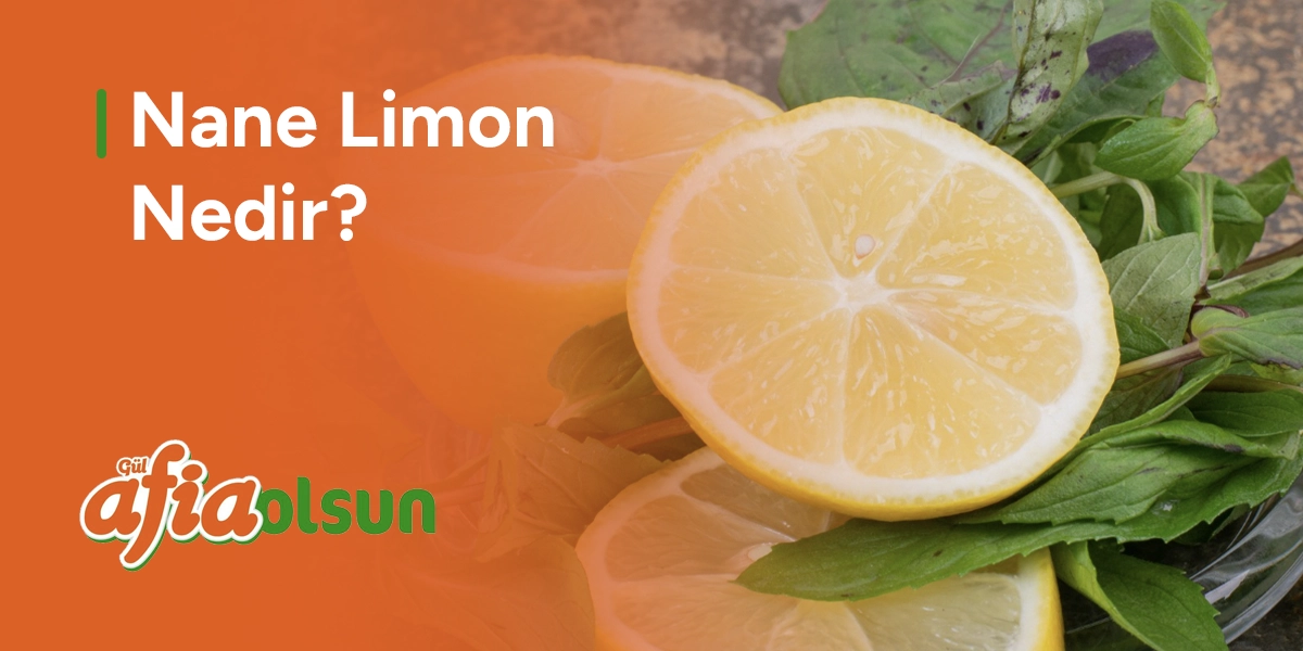 nane-limon-nedir