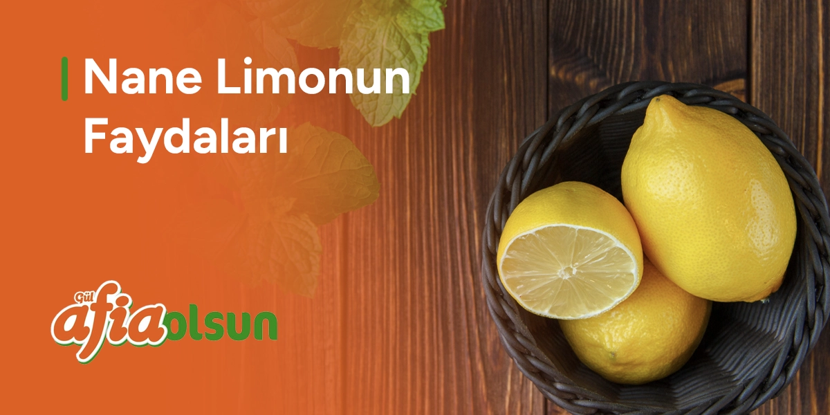 nane-limonun-faydalari