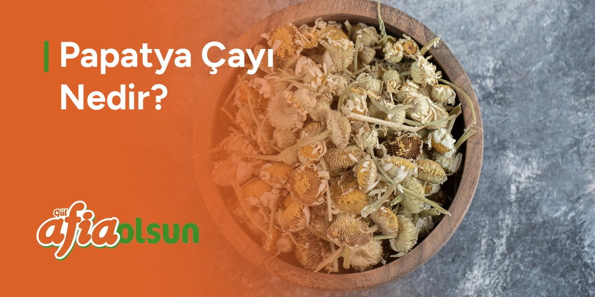 papatya-cayi-nedir