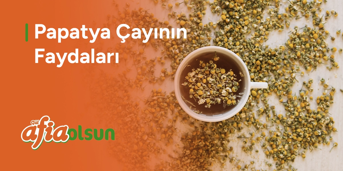 papatya-cayinin-faydalari