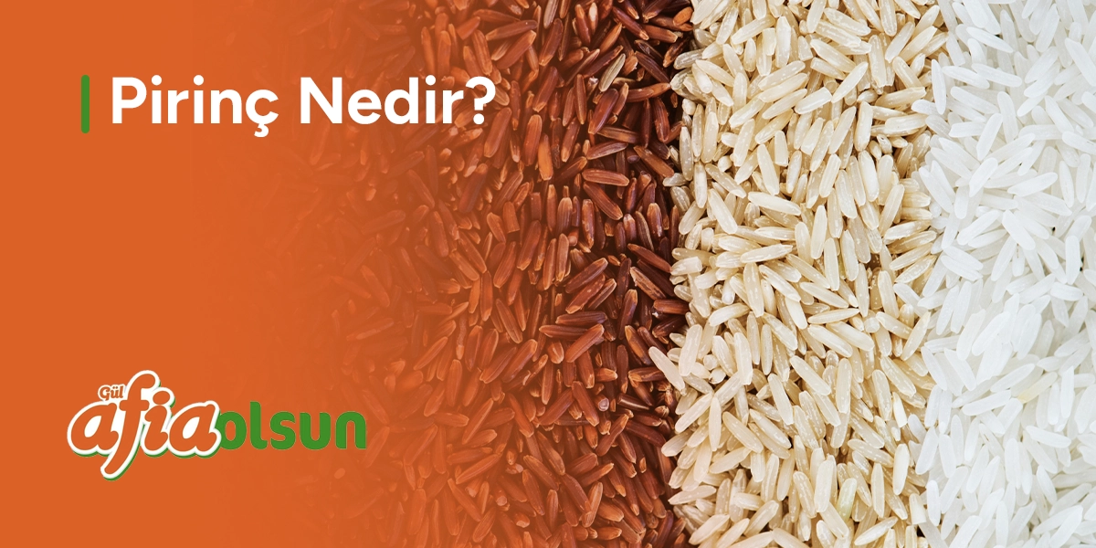 pirinc-nedir