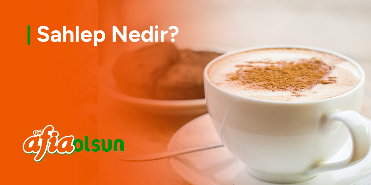 sahlep-nedir