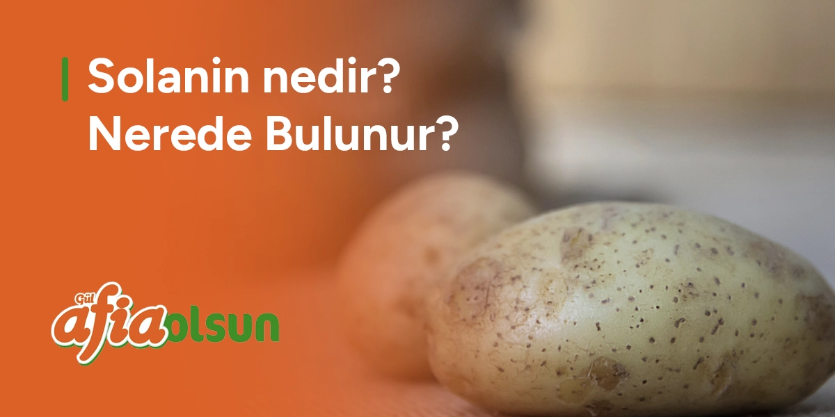 solanin-nedir-nerede-bulunur