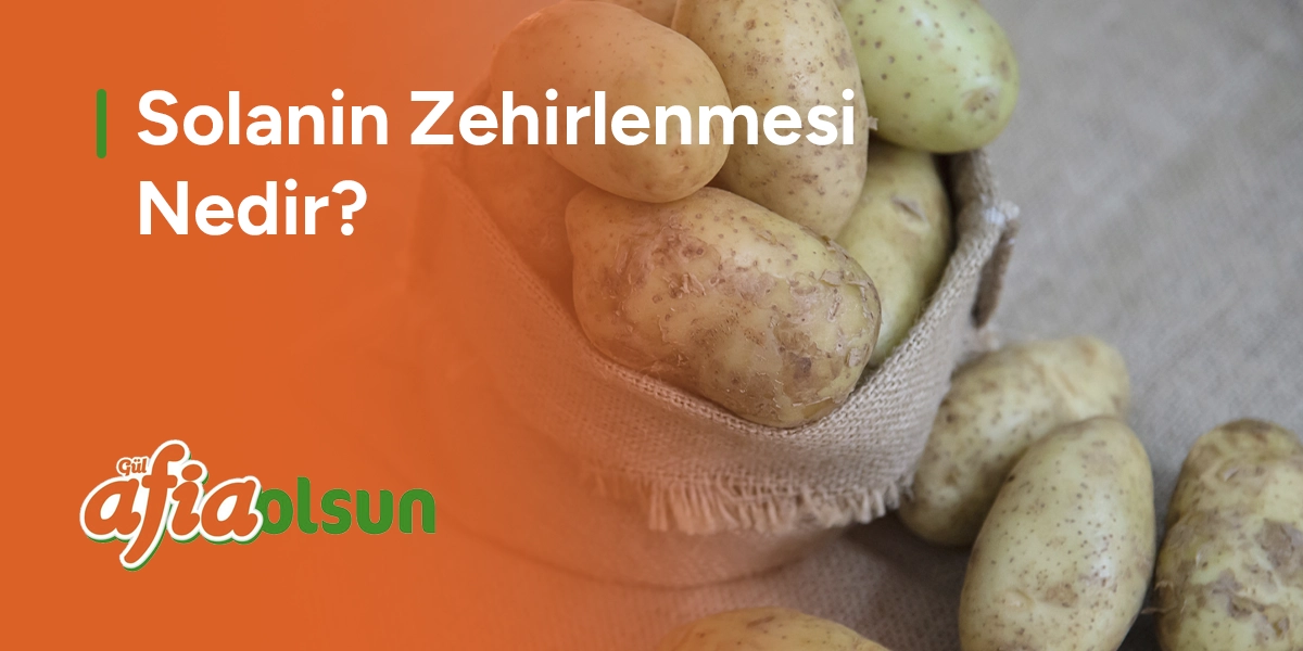 solanin-zehirlenmesi-nedir