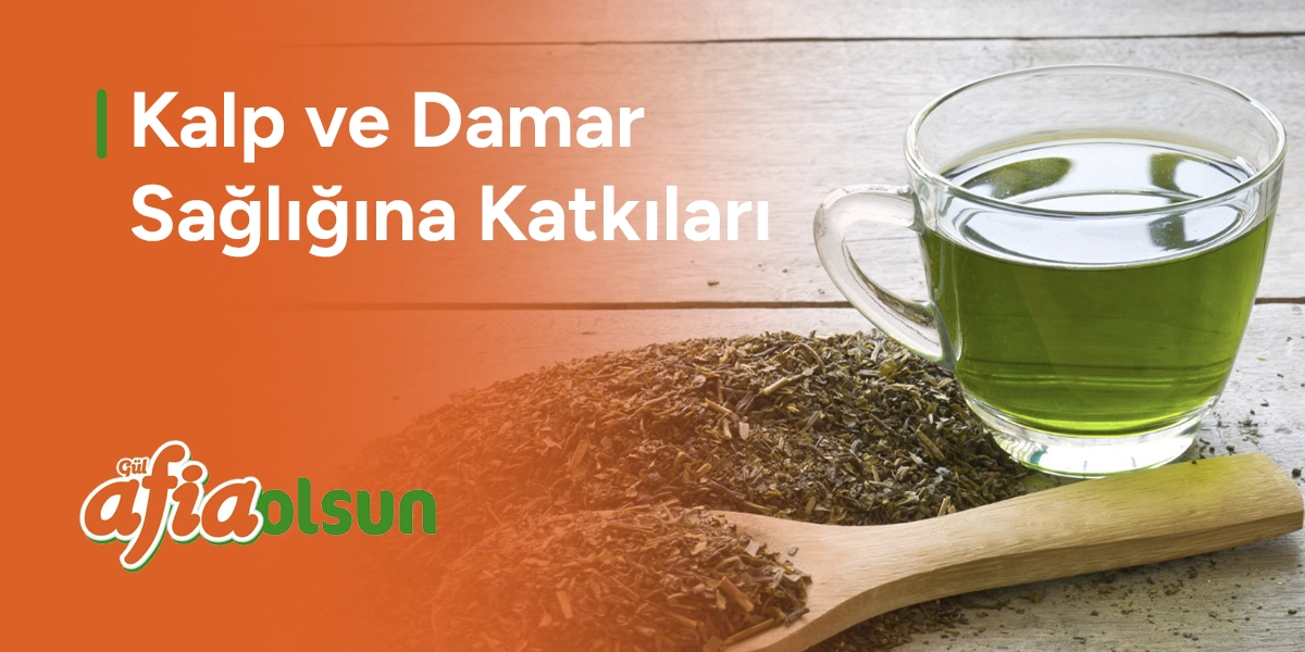 kalp-ve-damar-sagligina-katkilari