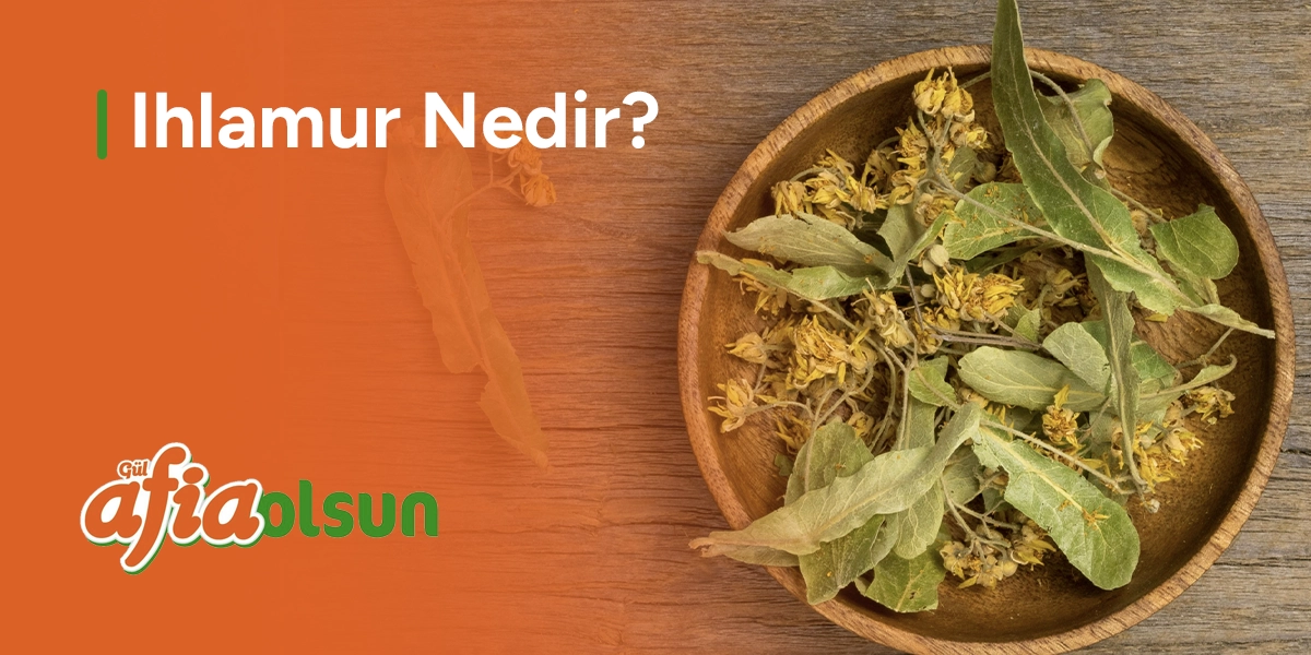 ihlamur-nedir