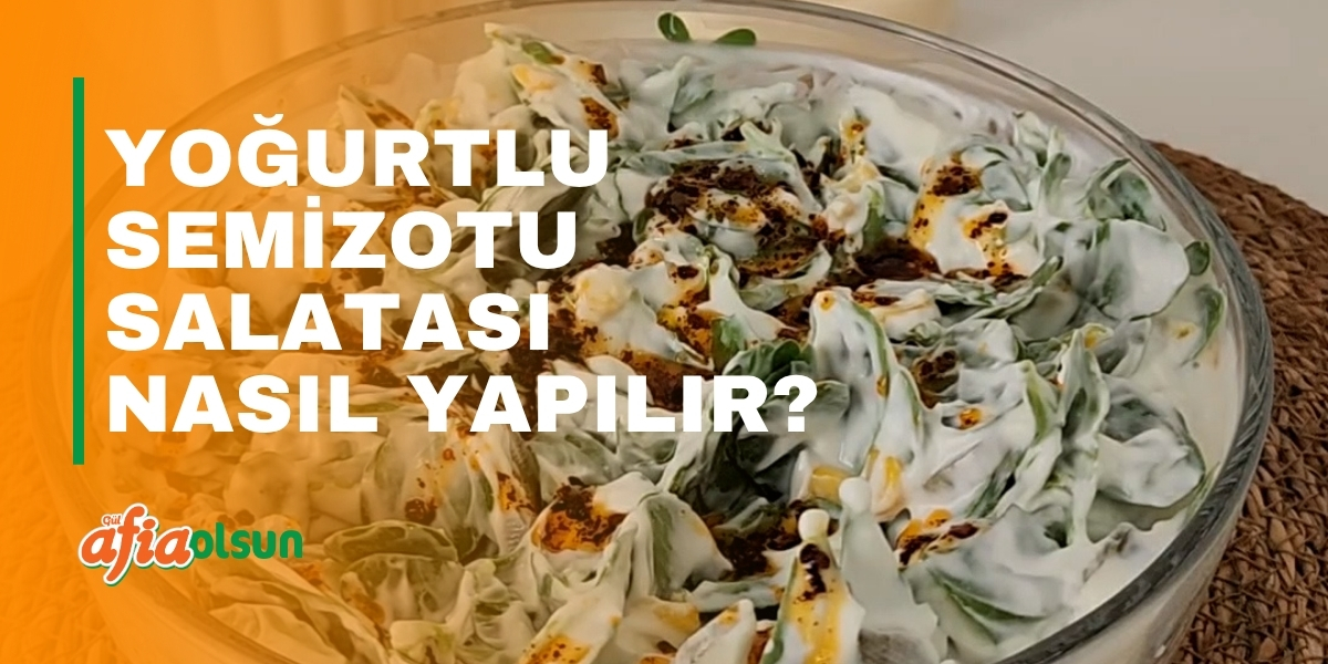 yogurtlu-semizotu