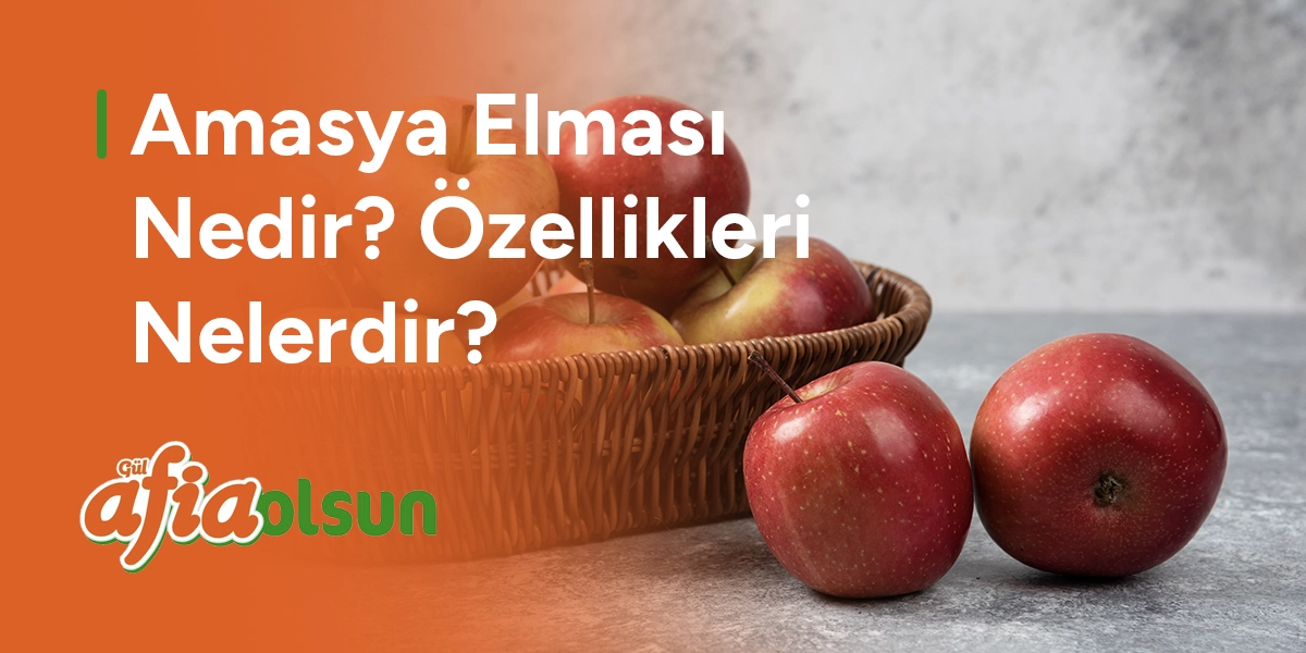 Amasya Elması Nedir? Özellikleri Nelerdir? amasya-elmasi-nedir-ozellikleri-nelerdir