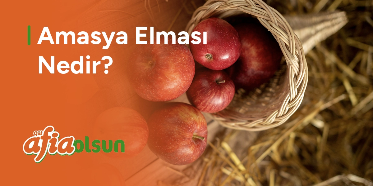 Amasya Elması Nedir? amasya-elmasi-nedir