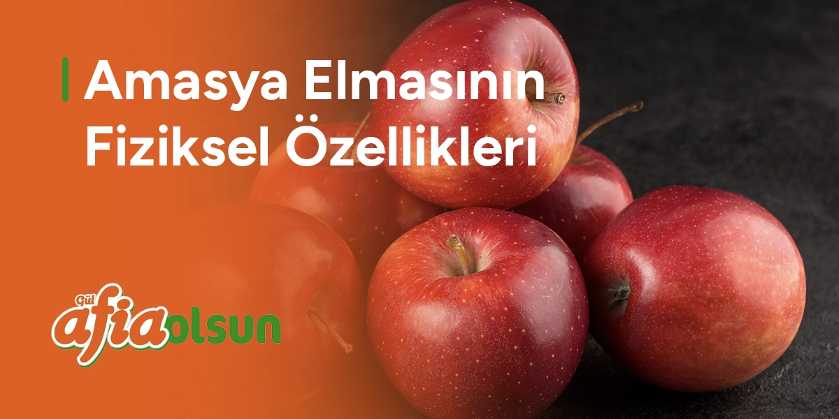 Amasya Elmasının Fiziksel Özellikleri amasya-elmasinin-fiziksel-ozellikleri