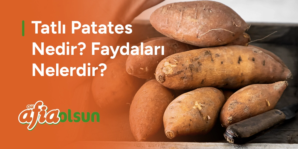 Tatlı Patates Nedir? Faydaları Nelerdir? tatli-patates-nedir-faydalari-nelerdir