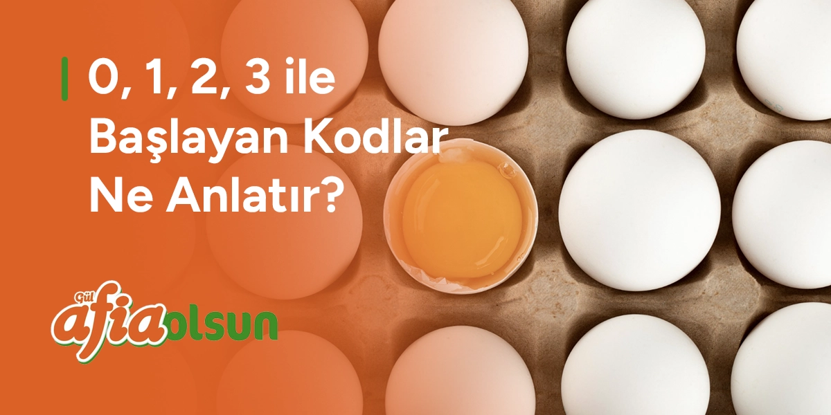0, 1, 2, 3 ile Başlayan Kodlar Ne Anlatır? 0-1-2-3-ile-baslayan-kodlar