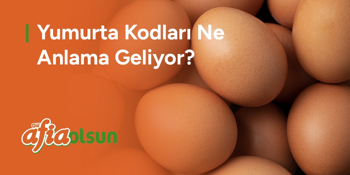 Yumurta Kodları Ne Anlama Geliyor? yumurta-kodlari-ne-anlama-geliyor