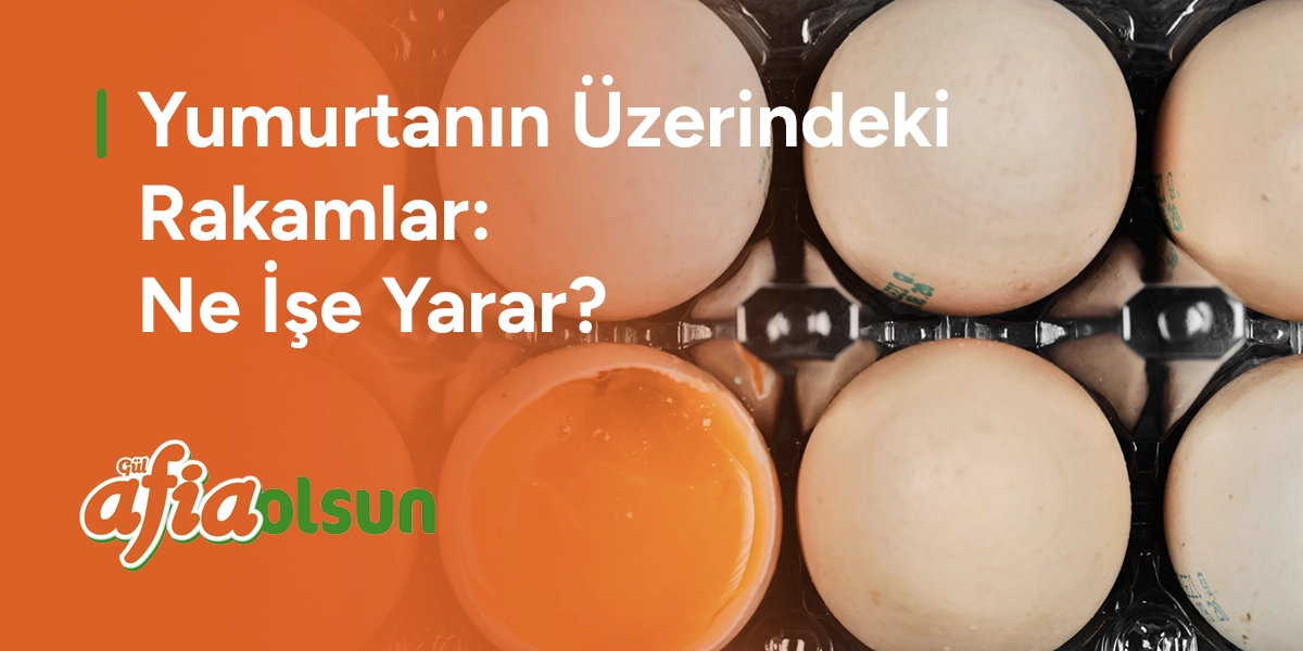 Yumurtanın Üzerindeki Rakamlar: Ne İşe Yarar? yumurtanin-uzerindeki-rakamlar