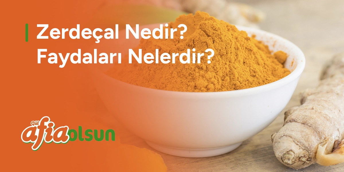 Zerdeçal Nedir? Faydaları Nelerdir? zerdecal-nedir-faydalari-nelerdir