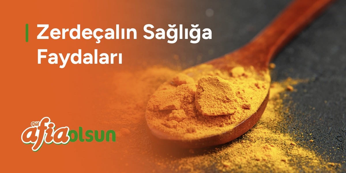 Zerdeçalın Sağlığa Faydaları zerdecalin-sagliga-faydalari