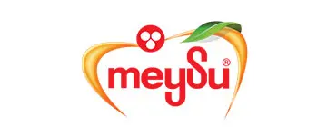 Meysu
