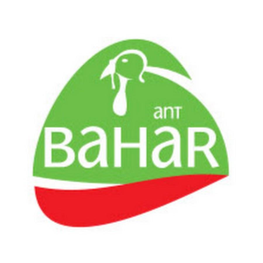 Bahar