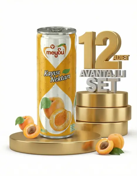 Meysu Kutu Kayısı 12x330 Ml - 1